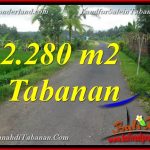 DIJUAL MURAH TANAH di TABANAN Untuk INVESTASI TJTB374