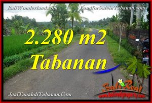 DIJUAL MURAH TANAH di TABANAN Untuk INVESTASI TJTB374