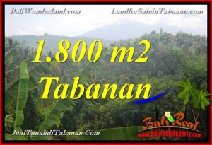 JUAL TANAH DI TABANAN 1,800 m2 View Gunung