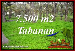 TANAH di TABANAN BALI DIJUAL 7,500 m2 VIEW KEBUN, LINGKUNGAN VILLA