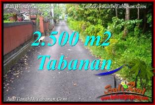DIJUAL MURAH TANAH di TABANAN BALI Untuk INVESTASI TJTB391