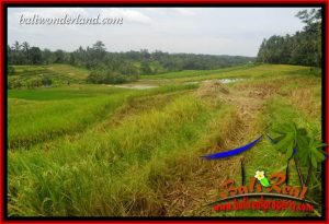 JUAL Tanah di Tabanan Untuk Investasi TJTB397
