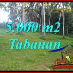 Tanah di Tabanan Dijual Murah Untuk Investasi TJTB408