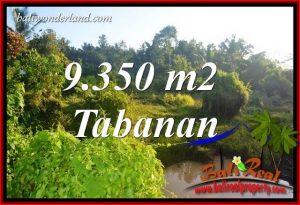 Tanah Murah Dijual di Tabanan Bali 9,350 m2 di Tabanan Selemadeg