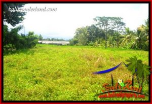 JUAL Tanah di Tabanan Bali Untuk Investasi TJTB417