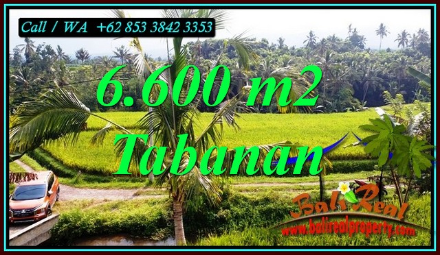 JUAL TANAH MURAH di TABANAN 6,600 m2 di PENEBEL TABANAN