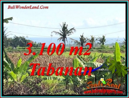 TANAH di TABANAN BALI DIJUAL MURAH Untuk INVESTASI TJTB485