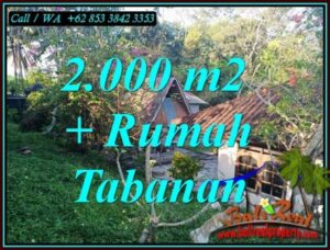 TANAH MURAH DI TABANAN, DIJUAL TANAH DI TABANAN Bali, tanah dijual di Bali, DIJUAL TANAH MURAH DI BALI, TANAH DIJUAL DI TABANAN, investasi property di Bali