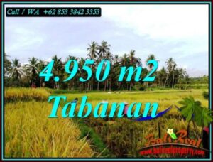 JUAL TANAH DI TABANAN BALI 4,950 m2 di MARGA TABANAN