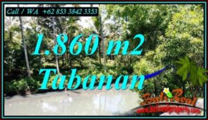 TANAH DIJUAL MURAH di TABANAN Untuk INVESTASI TJTB467