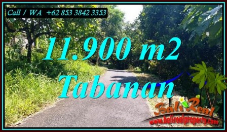 DIJUAL TANAH DI TABANAN 119 Are di SELEMADEG BARAT