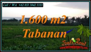 JUAL TANAH DI TABANAN BALI 1,600 m2 di SELEMADEG TABANAN