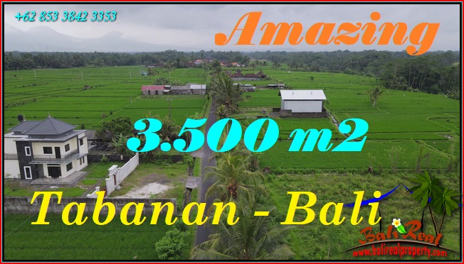 JUAL MURAH TANAH di TABANAN BALI 35 Are View sawah, kebun dan Gunung