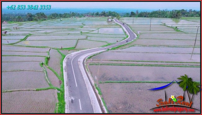 DIJUAL MURAH TANAH di TABANAN BALI 19 Are di Penebel Tabanan