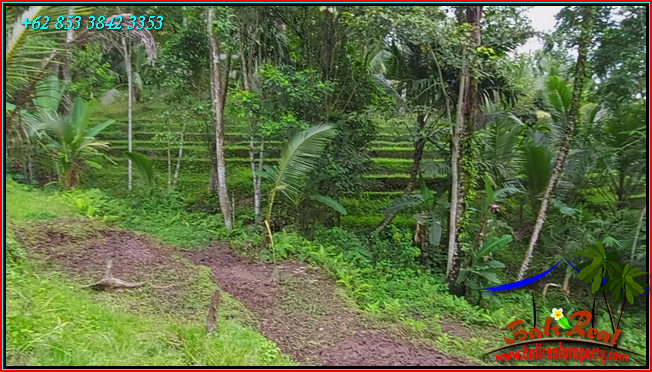 TANAH di TABANAN DIJUAL 2,400 m2 di Penebel Tabanan