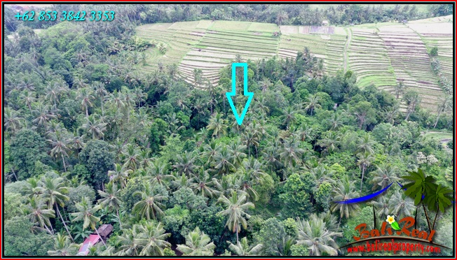 TANAH di TABANAN DIJUAL 2,400 m2 di Penebel Tabanan