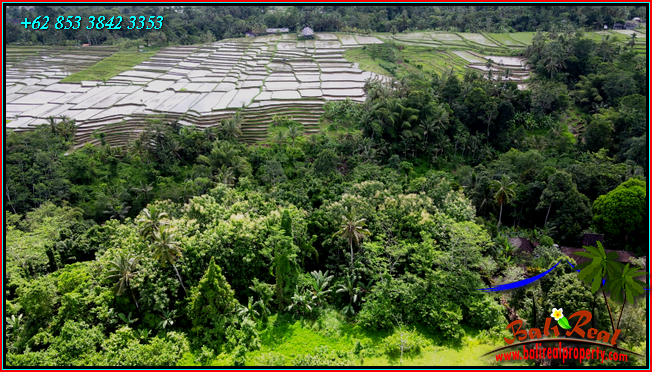 INVESTASI PROPERTY, TANAH di TABANAN BALI DIJUAL MURAH TJTB558