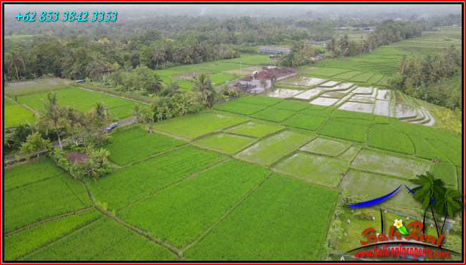 JUAL TANAH DI TABANAN 2,500 m2  View sawah dan Gunung