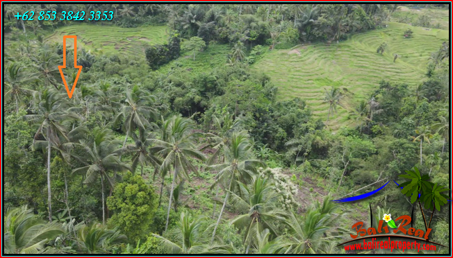 DIJUAL TANAH DI TABANAN 200 Are di Penebel Tabanan