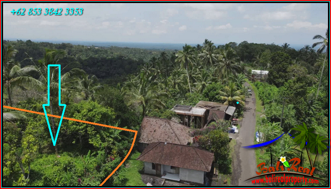 JUAL TANAH DI TABANAN 8 Are di Penebel Tabanan