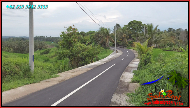 TANAH MURAH  di TABANAN BALI DIJUAL 20 Are View sawah, Gunung dan laut