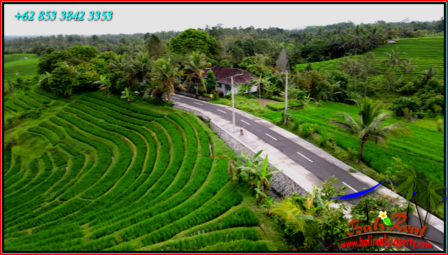 TANAH MURAH  di TABANAN BALI DIJUAL 20 Are View sawah, Gunung dan laut