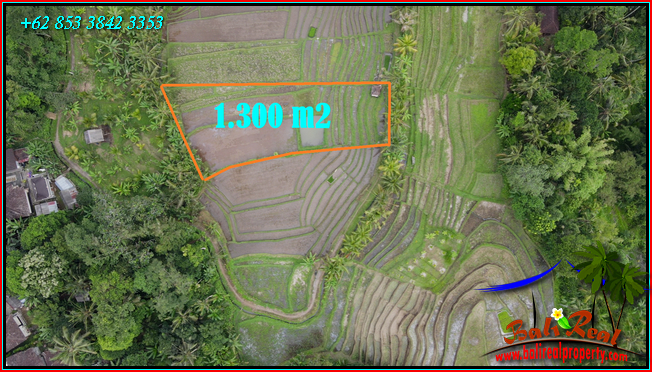 Tanah dijual di Tabanan Bali - Land fore sale in Bali 0