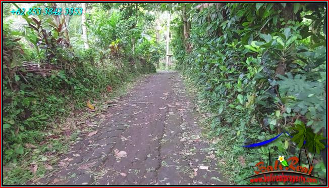 TANAH DIJUAL MURAH di TABANAN BALI TJTB553