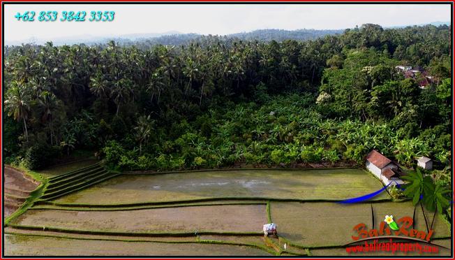 TANAH di TABANAN DIJUAL 12,000 m2 di Pupuan Tabanan