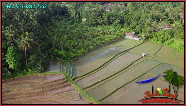 TANAH di TABANAN DIJUAL 12,000 m2 di Pupuan Tabanan