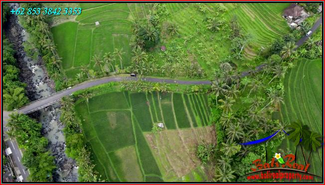 DIJUAL MURAH TANAH di TABANAN 24 Are di Penebel Tabanan