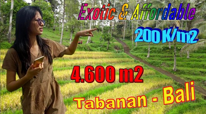 DIJUAL MURAH TANAH di TABANAN BALI 4,600 m2 di Penebel