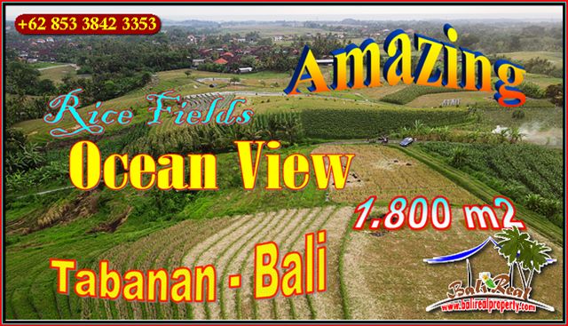 INVESTASI PROPERTY, TANAH MURAH di TABANAN BALI TJTB657
