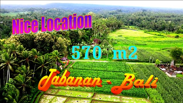 TANAH MURAH di TABANAN BALI DIJUAL 570 m2 di Selemadeg Timur Tabanan