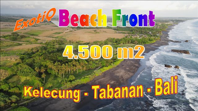 JUAL MURAH TANAH di TABANAN 45 Are Tepi Pantai ( Beachfront ) view sawah