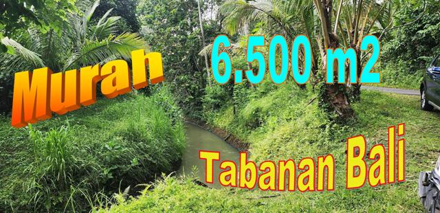TANAH JUAL MURAH TABANAN 65 Are View Sungai dan Jungle
