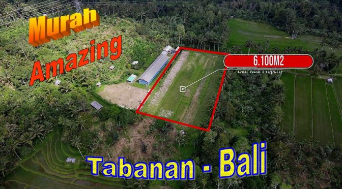 TANAH MURAH di TABANAN JUAL 61 Are View sawah, kebun dan gunung