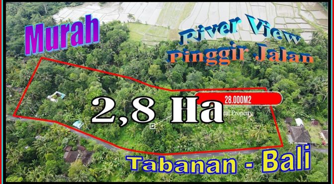TANAH MURAH DIJUAL di TABANAN Untuk INVESTASI TJTB714
